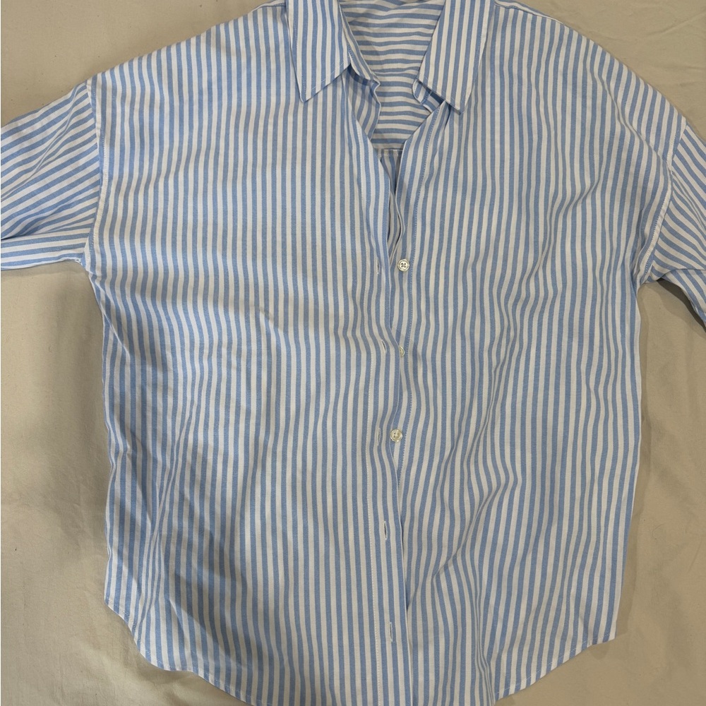 Zara Blue and White Striped Blouse